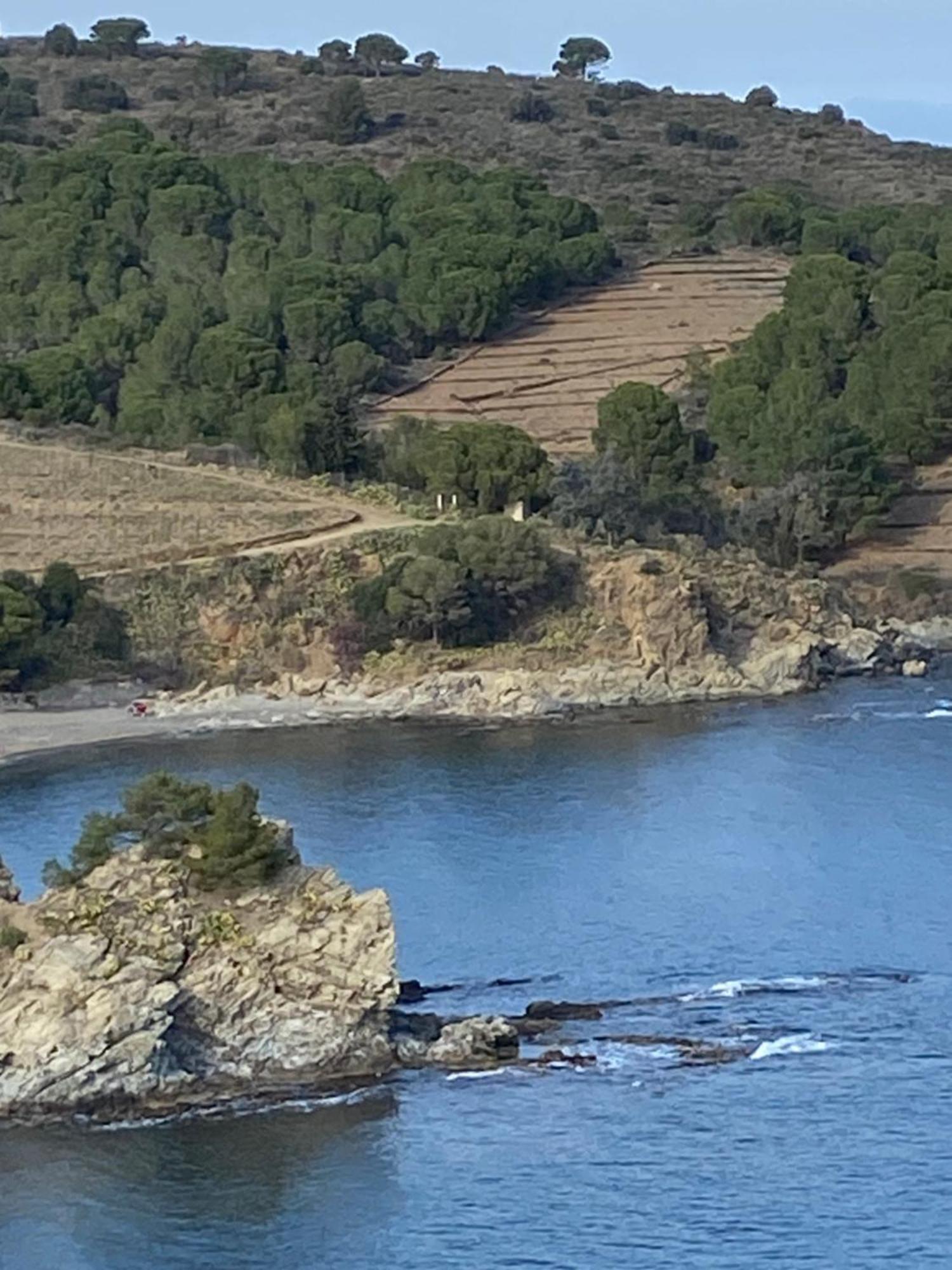 Profitez De La Vue ! Lägenhet Banyuls-sur-Mer Exteriör bild